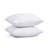 Feather Pillow Insert-756096789