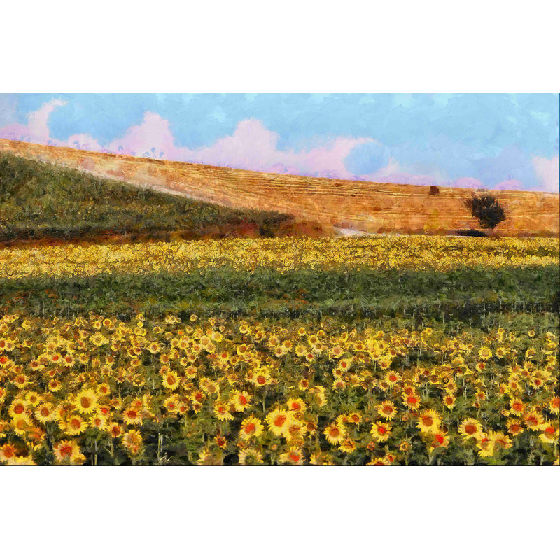 Painted Yellow Flower Field - Photographie sur toile tendue, H 20 po x l 30 po