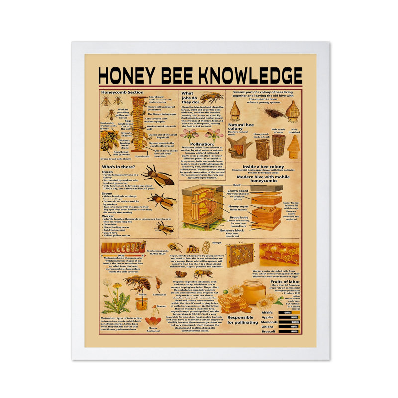Connaissance de l'abeille, Poster, White Framed, 11"H x 14"W