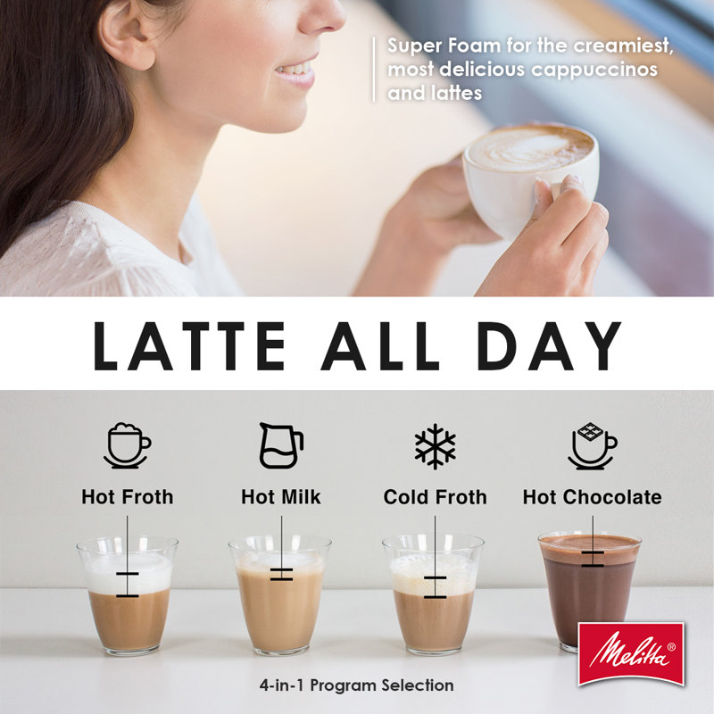 Compact Black and Stainless Steel Automatic Milk Frother