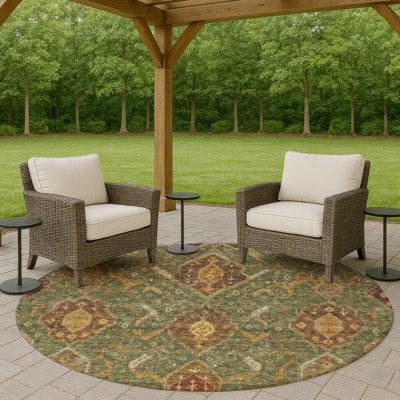 Machine Washable Indoor/Outdoor Chantille ACN2306 Global Rug