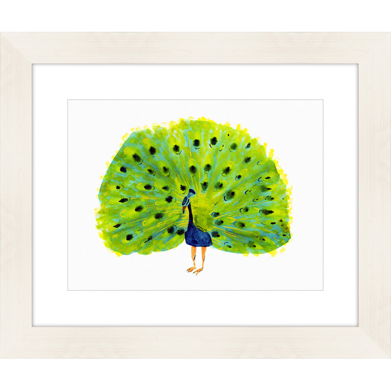 " Peacock "