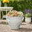 LARGO PLANTER
