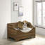 Lit pour animal de compagnie 36 po avec coussin 36 po