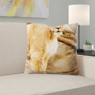Coussin en afrique