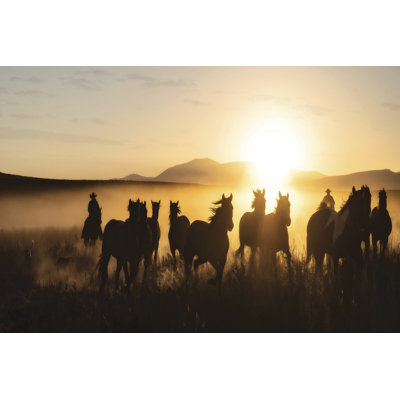 Ranch Horse Jingle by PHBurchett - Wrapped Canvas Photograph