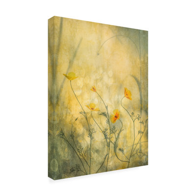 Art sur toile, folies bolognaises, bolche