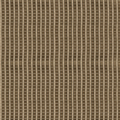 " Raffia VIII "