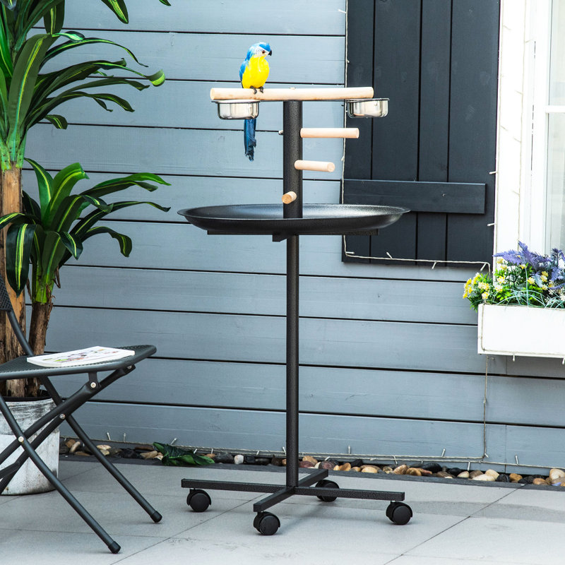 Meuble de jeu Bird