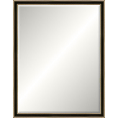 Antique Silver Old World Mirror