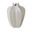 Star Fruit Vase-64402281