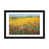 Black Framed Fine Art Paper is unavailable