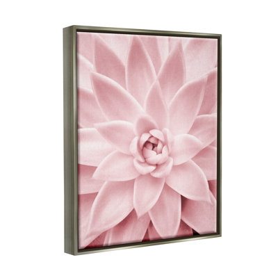 " Pastel Pink Succulent " by Sisi And Seb