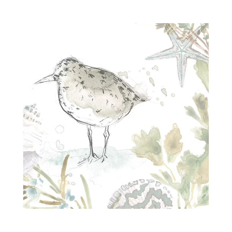 Seaside Sandpipers IV by June Erica Vess - Wrapped Canvas Gallery-Wrapped Canvas Giclée, 66.04 cm H x 66.04 cm W x 1.91 cm D