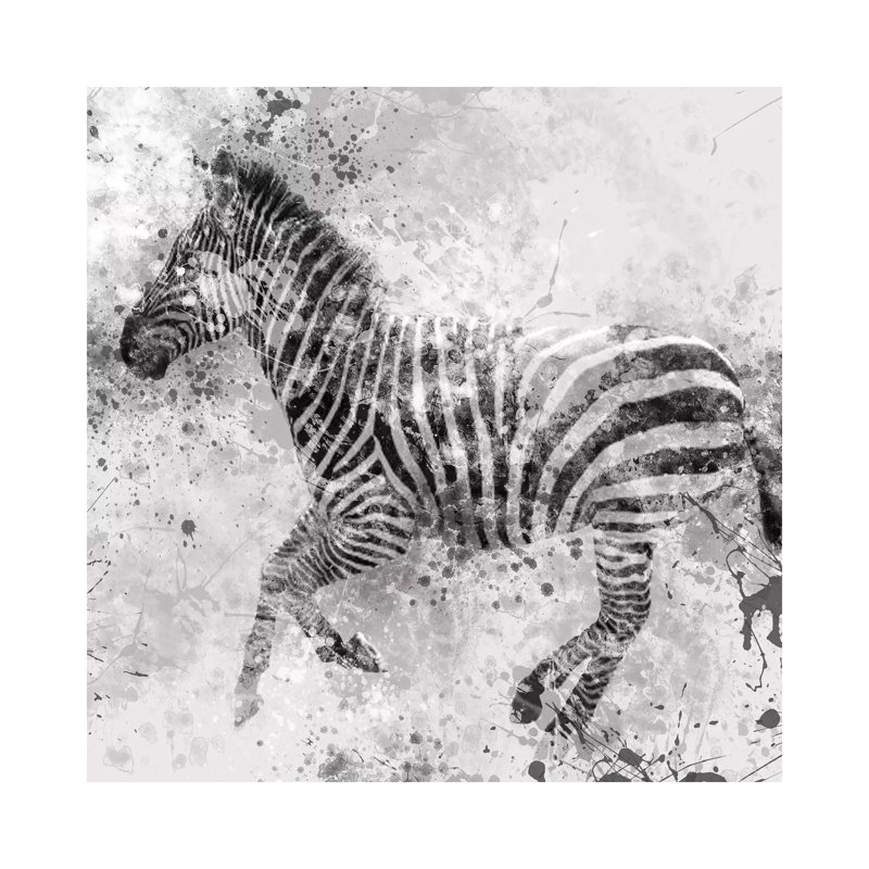 Zebra II 1 Piece Wall Art on Canvas, 45.72 cm H x 45.72 cm W x 1.91 cm D, Wrapped Canvas