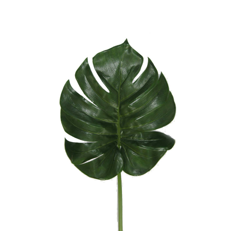 Buisson mélangé, 3