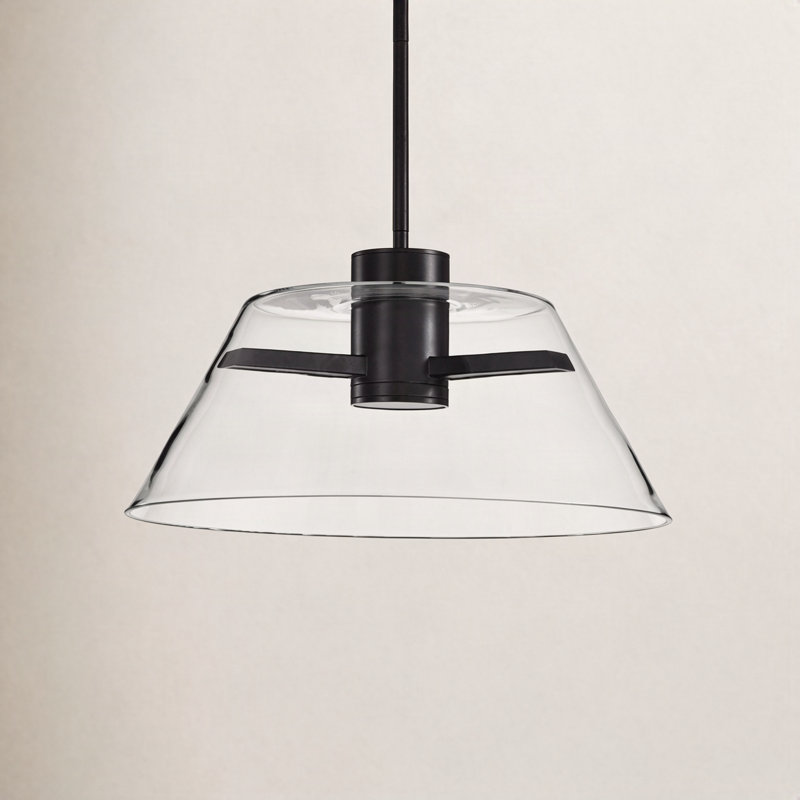 Sinclair - Luminaire suspendu DEL - avec verre transparent, H 46,51 po x l 17 po x P 17 po, Noir mat