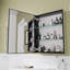Rectangular mirror cabinet