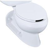 Barrington Elongated Rear Outlet Toilet Bowl with Antimicrobial Finish, Less Seat