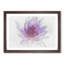 Water Lily in Abstract - Picture Frame Graphic Art Print-55761543-55761544