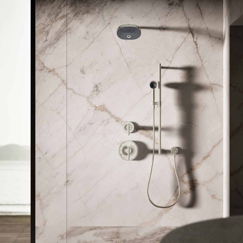 Statement 2.5 GPM Single-Function Iconic Handshower, Vibrant Brushed Nickel