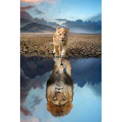 Lion lion regardant l'eau