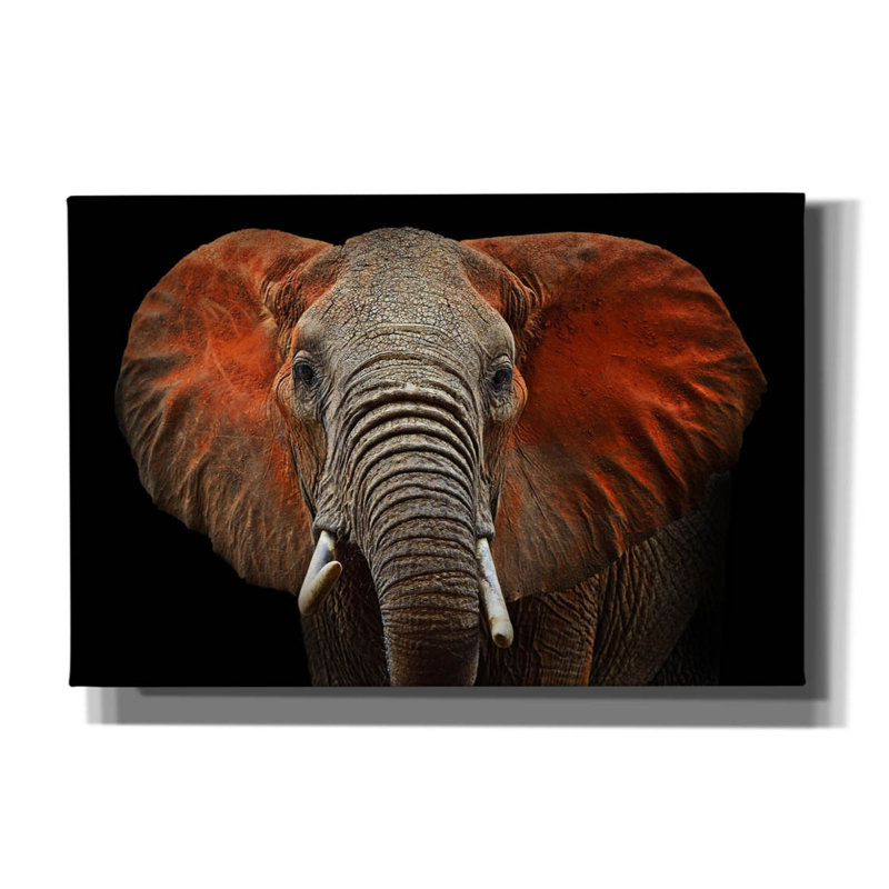 Feu éléphant sur toile, H 12 po x l 18 po x P 0,75 po