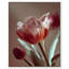 Muse of Spring Floral & Botanical Canvas Print by Oliver Gal, Black Frame, 16 x 20-1012283385-1012283388