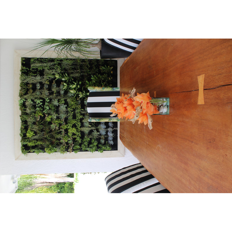 Driftwood Cymbidium Orchids Centerpiece in Glass Planter, Orange, 8" H x 48" W x 6" D
