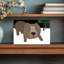 Curious Bear In Snow Playful Abstract Contemporary Bear Forest Wildlife Wall Art Print by Carla Daly - Wrapped Canvas Print-612216370