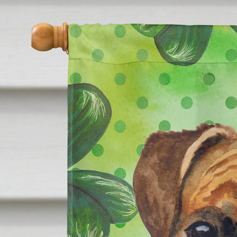 40 x 28 po en polyester à 2 côtés de la st patrick drapeau maison, Boxer brun