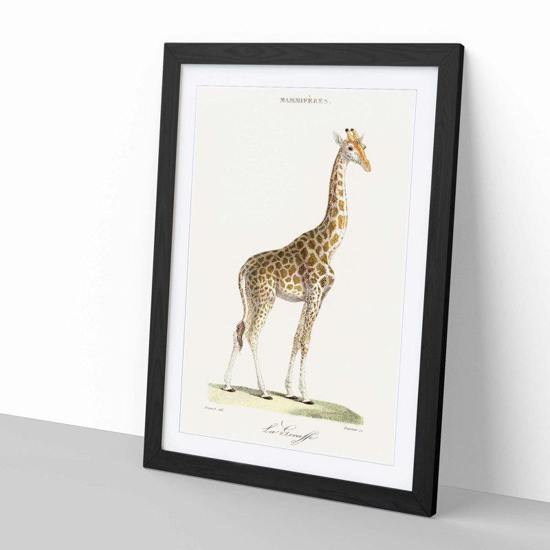Giraffe by Florent Prevos - Picture Frame Painting Print, Black Framed, 65cm H x 48cm W x 2cm D