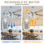 Ventilateur de plafond moderne Eustolio 52 po avec éclairage et télécommande, moteur CC réversible, lumière DEL à intensité variable, ventilateur de plafond chromé à 6 vitesses pour salon-487085836