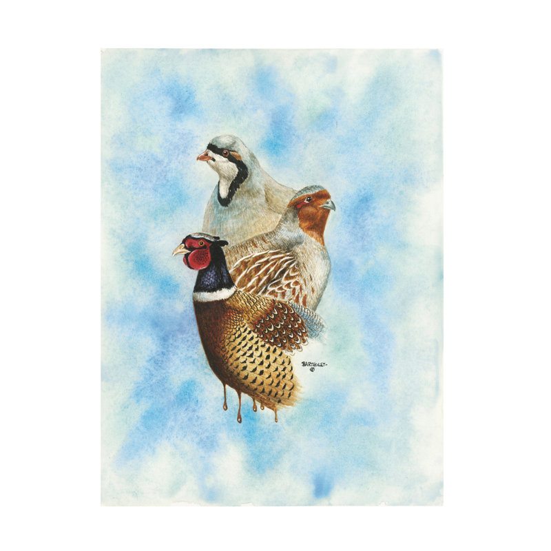 Bolog Dave Bartholet Upland Trio Canvas Art, 35" H x 47" W