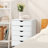 Coray 18.7'' Wide 5 -Drawer Mobile File Cabinet-1193353073