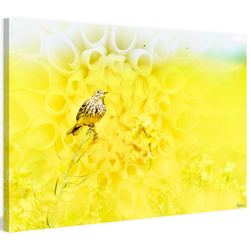Parvez Taj - Wrapped Canvas Print, 41cm H x 61cm W