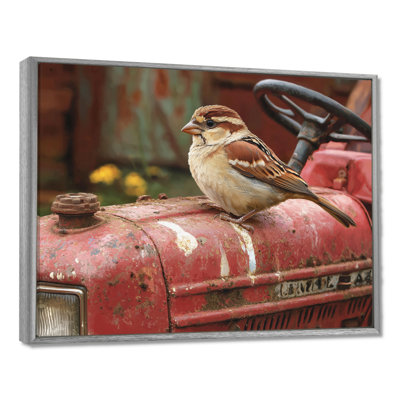 Oiseau moineau sur le tracteur II - oiseau, art mural