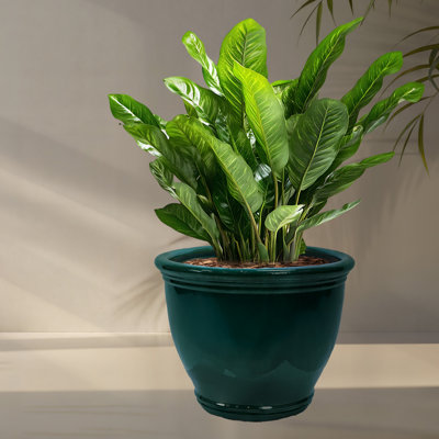 Berlina Round Imperial Ceramic Outdoor Planter
