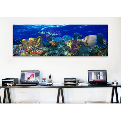 " Stoplight Parrotfish (Sparisoma Viride) With A Hawksbill Turtle (Eretmochelys Imbricata) Underwater " by Panoramic Images