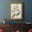 Toile encadrée de qualité supérieure Antique Botanical Collection-763440725