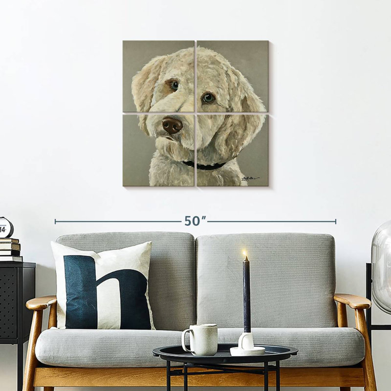 Bramend Goldendoodle sur fond gris