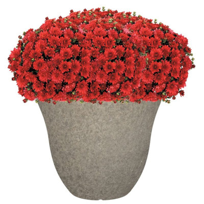 Ayaah Pot Planter