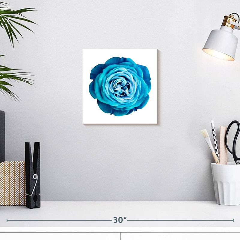 Harnek Gradient Blue Rose, 10" H x 10" W