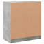 Mataia Rectangle Accent Cabinet-1570970355