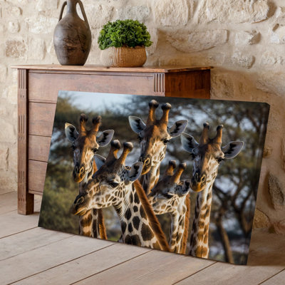 Canvas A Close Up Scene Featuring A Group Of Five Giraffes Wall Art With Elongated Necks And Distinctive Spotted Patterns Standing Canvas Wall Art