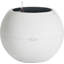 Pot Planter-348833669-348833670