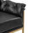 Naber Faux Leather Tufted Accent Arm Chair-1741274315