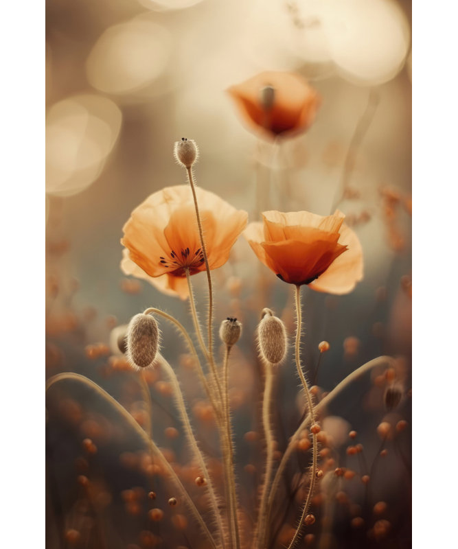 Wrapped Canvas Print, 50.8 cm H x 76.2 cm W