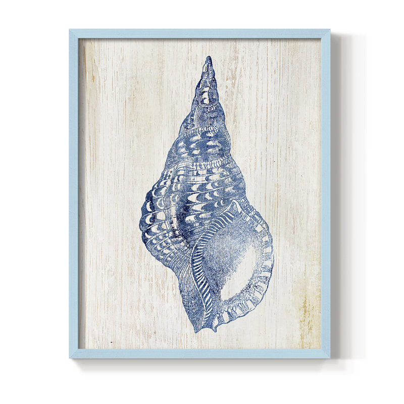 Impression encadrée Shell III - bois massif, Bleu, H 11 po x l 9 po