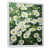 Cadre flottant blanc